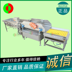 廠家直銷 電動(dòng)蔬果切碎機(jī) 商用不銹鋼食物切碎機(jī) 生姜大蒜打碎機(jī)