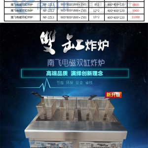 南飛商用電磁雙缸炸爐 商用炸鍋 電炸爐雞排薯?xiàng)l炸爐 廠家聯(lián)保