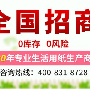 原生木漿衛(wèi)生紙廠家批發(fā) 生活用紙卷紙 廁所卷紙 大卷紙